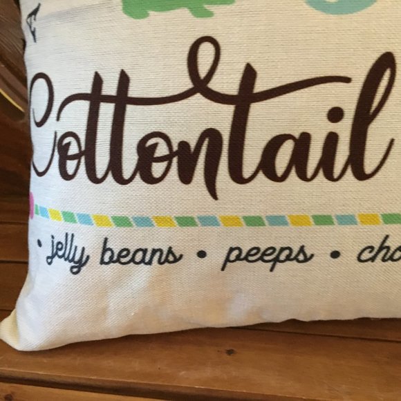 SET OF TWO (2) Easter Bunny Rabbit Pillow Cover 18 x 18 Cottontail Farms NEW - Picture 9 of 10